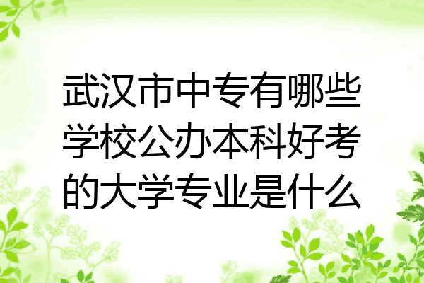 武汉市中专有哪些学校公办本科好考的大学专业是什么