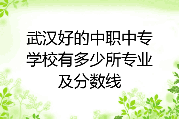 武汉好的中职中专学校有多少所专业及分数线