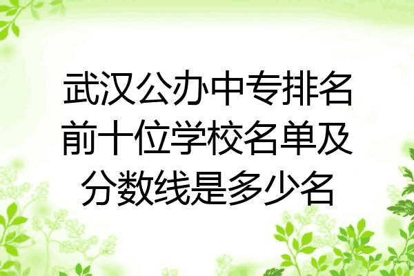 武汉公办中专排名前十位学校名单及分数线是多少名
