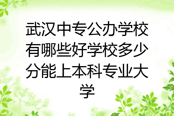 武汉中专公办学校有哪些好学校多少分能上本科专业大学