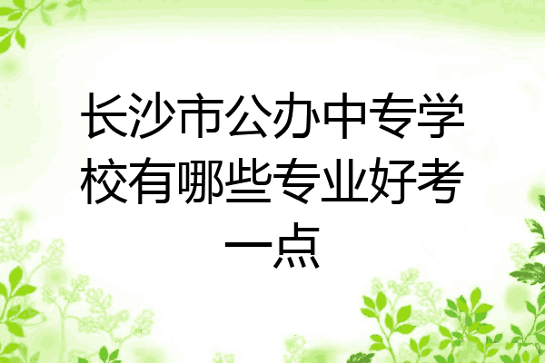 长沙市公办中专学校有哪些专业好考一点