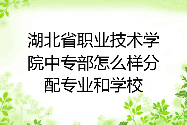 湖北省职业技术学院中专部怎么样分配专业和学校