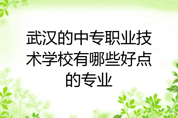 武汉的中专职业技术学校有哪些好点的专业
