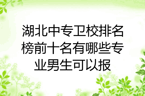 湖北中专卫校排名榜前十名有哪些专业男生可以报