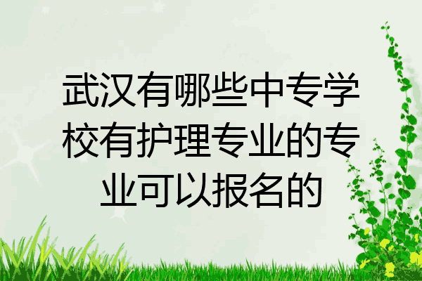 武汉有哪些中专学校有护理专业的专业可以报名的