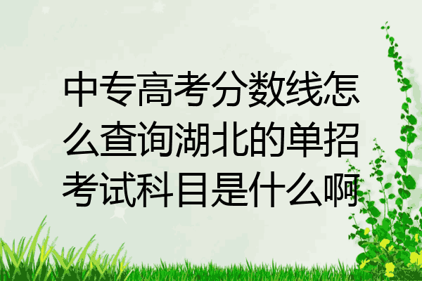 中专高考分数线怎么查询湖北的单招考试科目是什么啊