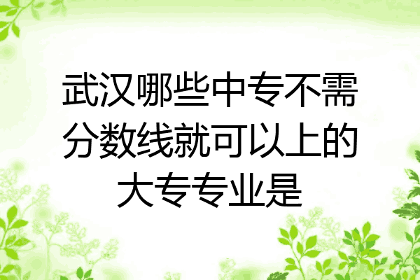 武汉哪些中专不需分数线就可以上的大专专业是