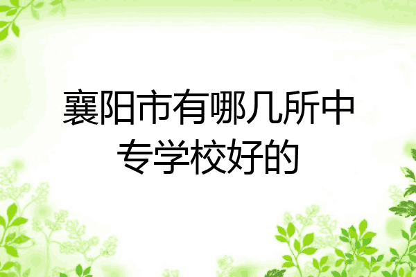 襄阳市有哪几所中专学校好的