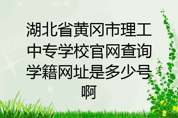 湖北省黄冈市理工中专学校官网查询学籍网址是多少号啊