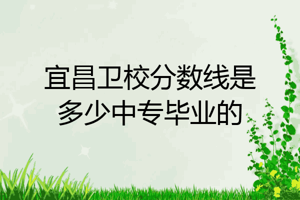 宜昌卫校分数线是多少中专毕业的