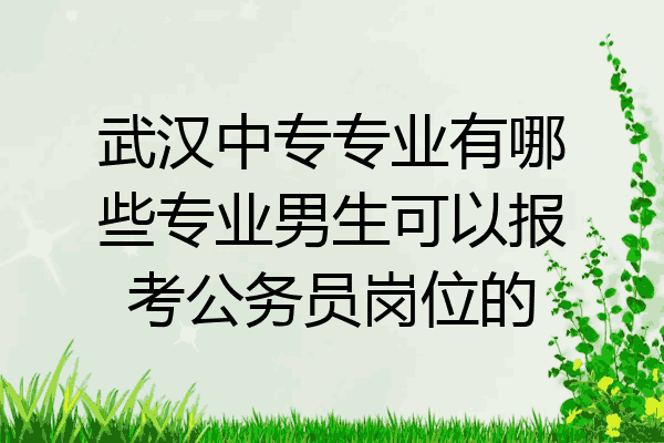 武汉中专专业有哪些专业男生可以报考公务员岗位的