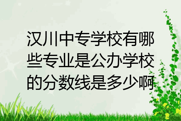 汉川中专学校有哪些专业是公办学校的分数线是多少啊