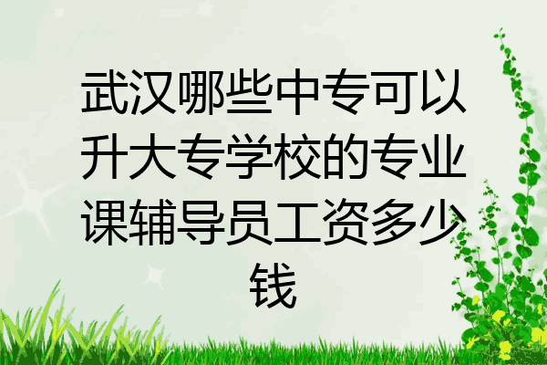 武汉哪些中专可以升大专学校的专业课辅导员工资多少钱