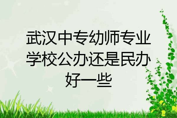 武汉中专幼师专业学校公办还是民办好一些