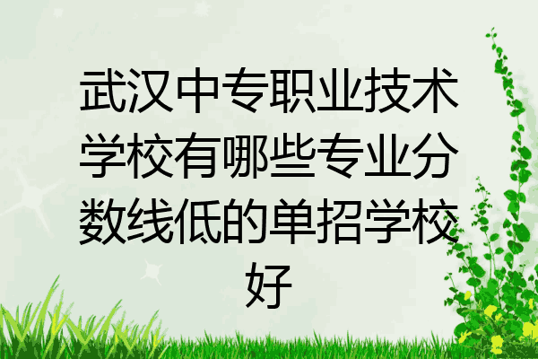 武汉中专职业技术学校有哪些专业分数线低的单招学校好
