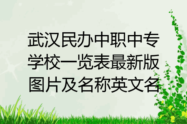 武汉民办中职中专学校一览表最新版图片及名称英文名