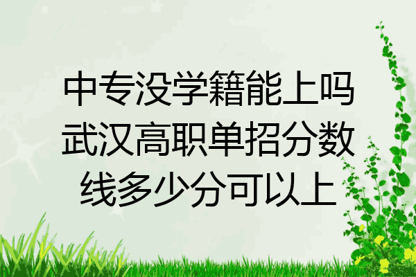中专没学籍能上吗武汉高职单招分数线多少分可以上