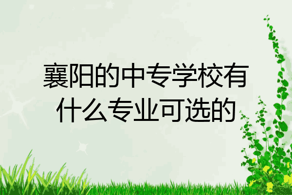 襄阳的中专学校有什么专业可选的