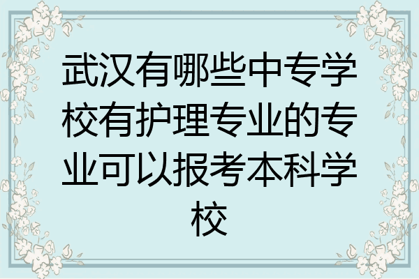 武汉有哪些中专学校有护理专业的专业可以报考本科学校