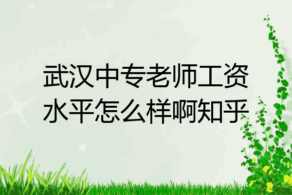 武汉中专老师工资水平怎么样啊知乎