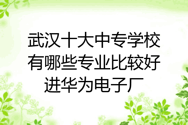 武汉十大中专学校有哪些专业比较好进华为电子厂