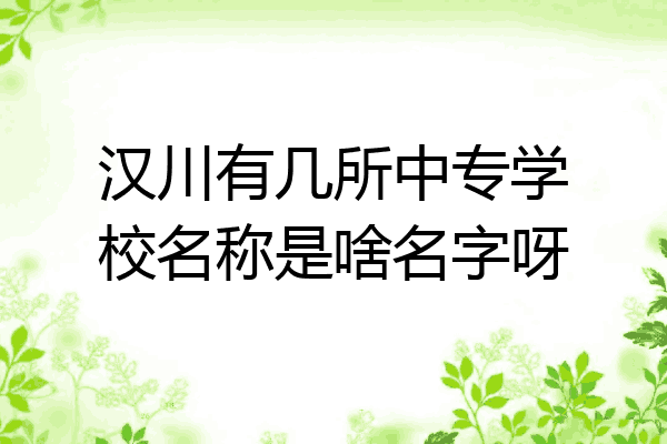 汉川有几所中专学校名称是啥名字呀
