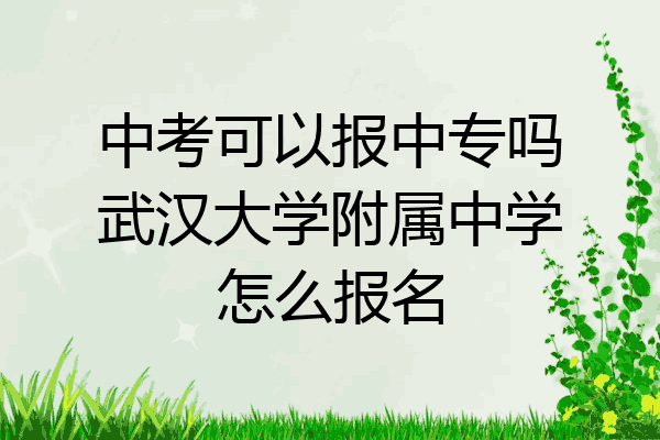 中考可以报中专吗武汉大学附属中学怎么报名