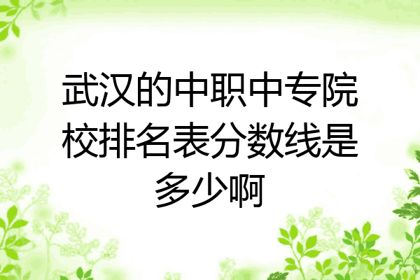 武汉的中职中专院校排名表分数线是多少啊