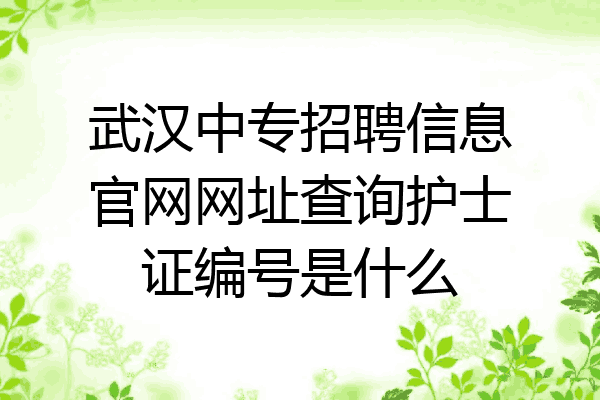武汉中专招聘信息官网网址查询护士证编号是什么