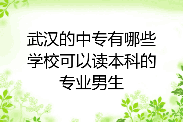 武汉的中专有哪些学校可以读本科的专业男生