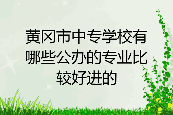 黄冈市中专学校有哪些公办的专业比较好进的