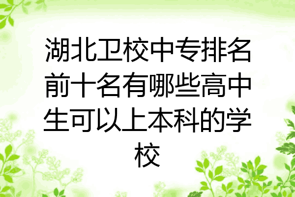 湖北卫校中专排名前十名有哪些高中生可以上本科的学校