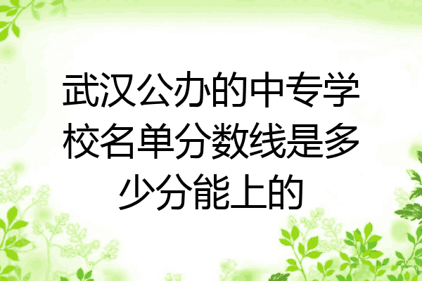 武汉公办的中专学校名单分数线是多少分能上的