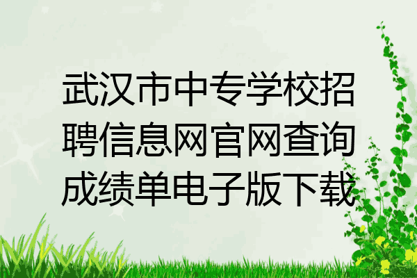 武汉市中专学校招聘信息网官网查询成绩单电子版下载