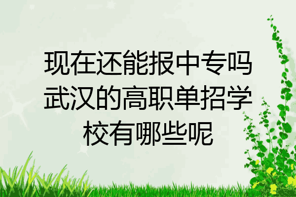 现在还能报中专吗武汉的高职单招学校有哪些呢