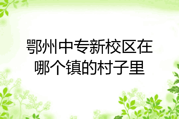 鄂州中专新校区在哪个镇的村子里
