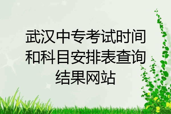 武汉中专考试时间和科目安排表查询结果网站