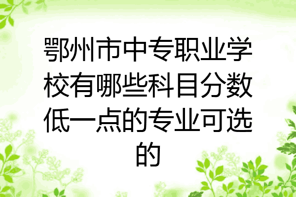 鄂州市中专职业学校有哪些科目分数低一点的专业可选的