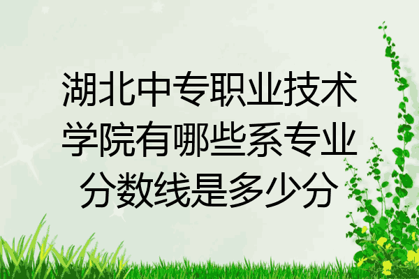 湖北中专职业技术学院有哪些系专业分数线是多少分