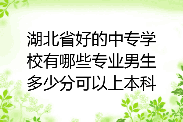 湖北省好的中专学校有哪些专业男生多少分可以上本科