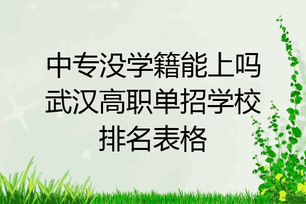 中专没学籍能上吗武汉高职单招学校排名表格