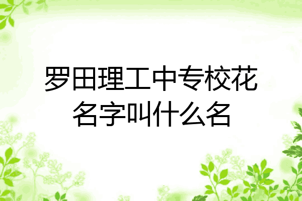 罗田理工中专校花名字叫什么名
