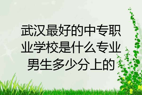 武汉最好的中专职业学校是什么专业男生多少分上的