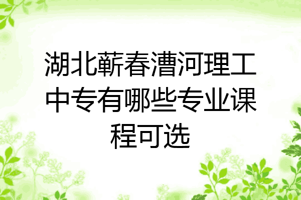 湖北蕲春漕河理工中专有哪些专业课程可选
