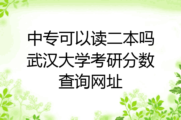 中专可以读二本吗武汉大学考研分数查询网址