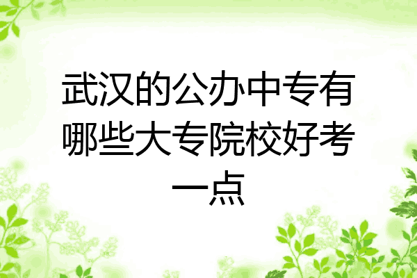 武汉的公办中专有哪些大专院校好考一点