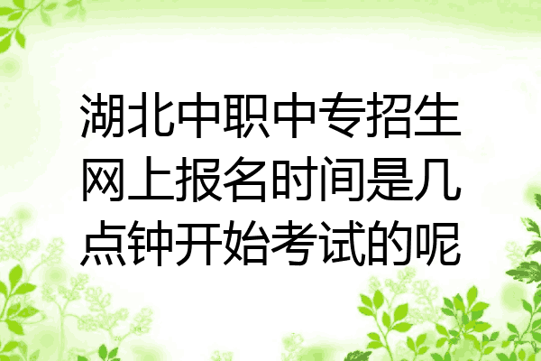 湖北中职中专招生网上报名时间是几点钟开始考试的呢