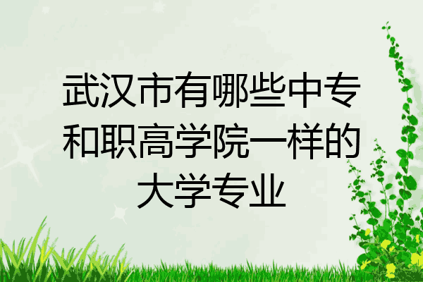 武汉市有哪些中专和职高学院一样的大学专业
