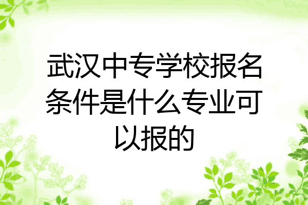 武汉中专学校报名条件是什么专业可以报的
