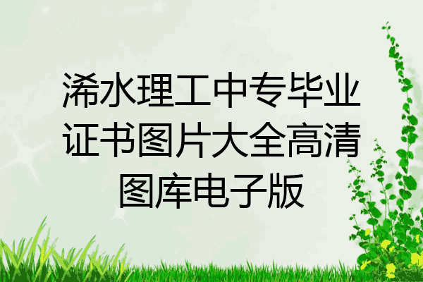 浠水理工中专毕业证书图片大全高清图库电子版